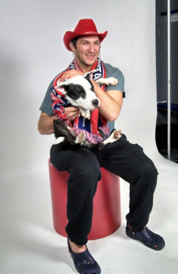 22d47000e937a78ed30c2133ee47d713